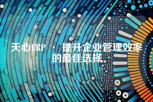 天心ERP · 提升企业管理效率的最佳选择