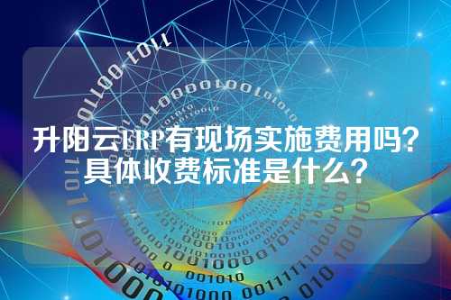 升阳云ERP有现场实施费用吗？具体收费标准是什么？