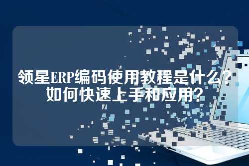 领星ERP编码使用教程是什么？如何快速上手和应用？