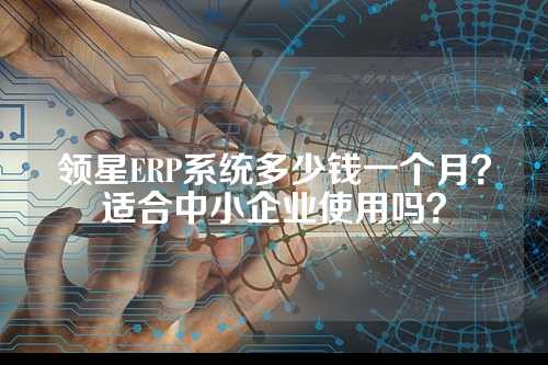 领星ERP系统多少钱一个月？适合中小企业使用吗？