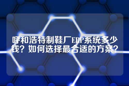 呼和浩特制鞋厂ERP系统多少钱？如何选择最合适的方案？