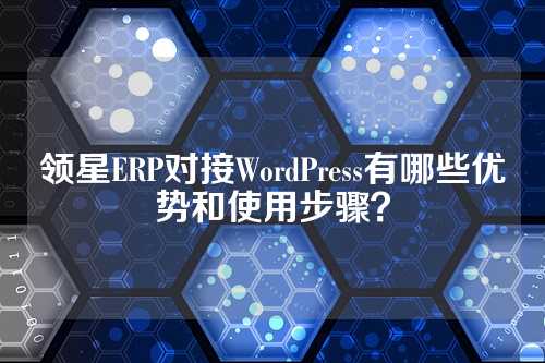 领星ERP对接WordPress有哪些优势和使用步骤？