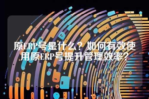 原ERP号是什么?如何有效使用原ERP号提升管理效率?
