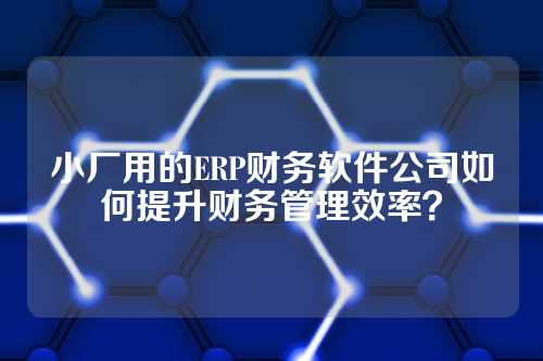 小厂用的ERP财务软件公司如何提升财务管理效率?