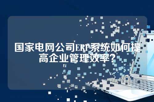国家电网公司ERP系统如何提高企业管理效率?