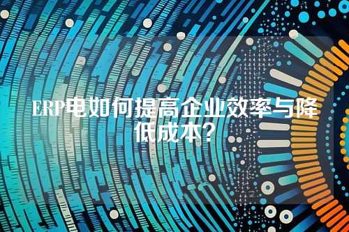 ERP电如何提高企业效率与降低成本？
