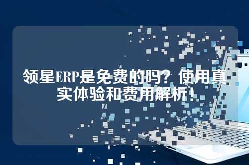 领星ERP是免费的吗？使用真实体验和费用解析！