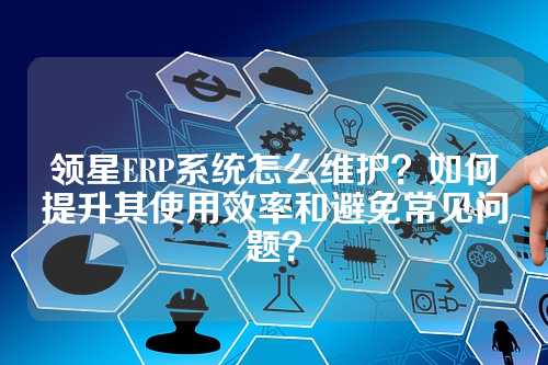 领星ERP系统怎么维护？如何提升其使用效率和避免常见问题？