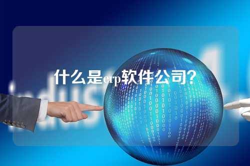 什么是erp软件公司?