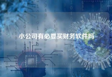 小公司有必要买财务软件吗 小公司有必要买财务软件吗