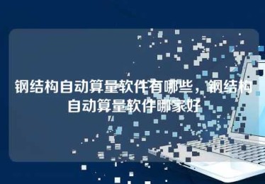 钢结构自动算量软件有哪些，钢结构自动算量软件哪家好