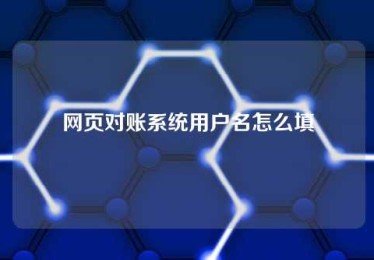 网页对账系统用户名怎么填 网页对账系统用户名怎么填