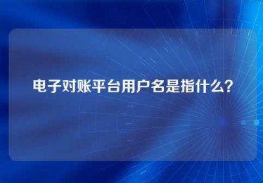 电子对账平台用户名是指什么? 电子对账平台用户名是指什么?