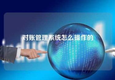 对账管理系统怎么操作的 对账管理系统怎么操作的