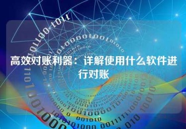 高效对账利器:详解使用什么软件进行对账 高效对账利器:详解使用什么软件进行对账