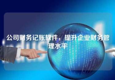 公司财务记账软件,提升企业财务管理水平 公司财务记账软件,提升企业财务管理水平