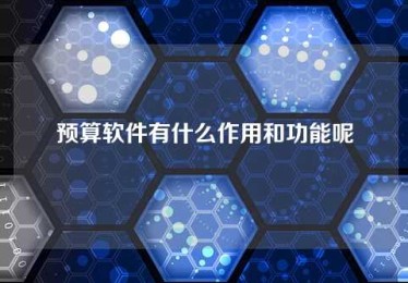 预算软件有什么作用和功能呢 预算软件有什么作用和功能呢