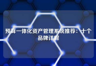 预算一体化资产管理系统推荐:十个品牌详解 预算一体化资产管理系统推荐:十个品牌详解