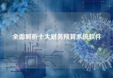 全面解析十大财务预算系统软件 全面解析十大财务预算系统软件