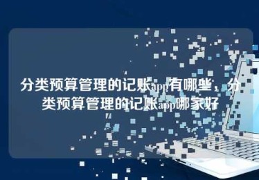 分类预算管理的记账app有哪些,分类预算管理的记账app哪家好 分类预算管理的记账app有哪些,分类预算管理的记账app哪家好
