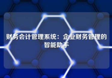 财务会计管理系统:企业财务管理的智能助手 财务会计管理系统:企业财务管理的智能助手