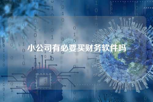 小公司有必要买财务软件吗