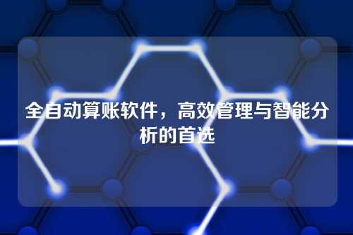 全自动算账软件,高效管理与智能分析的首选