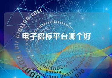 电子招标平台哪个好