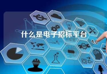 什么是电子招标平台