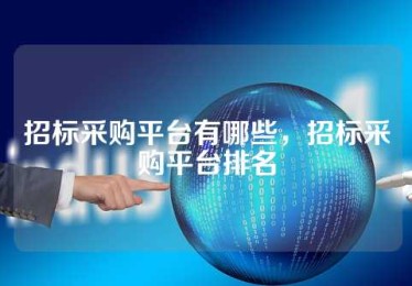 招标采购平台有哪些，招标采购平台排名