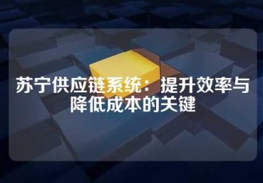 苏宁供应链系统：提升效率与降低成本的关键