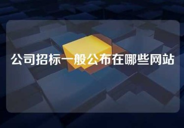 公司招标一般公布在哪些网站