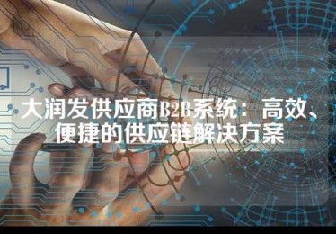 大润发供应商B2B系统：高效、便捷的供应链解决方案