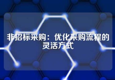 非招标采购：优化采购流程的灵活方式