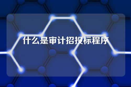 什么是审计招投标程序
