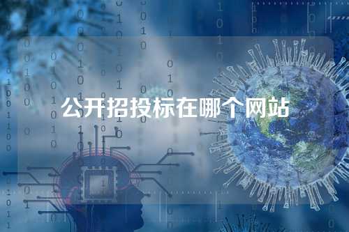 公开招投标在哪个网站