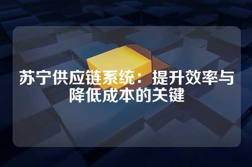苏宁供应链系统:提升效率与降低成本的关键