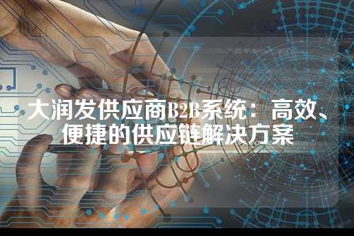 大润发供应商B2B系统:高效、便捷的供应链解决方案