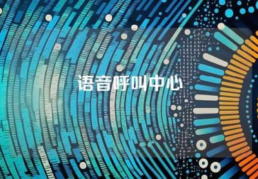 语音呼叫中心
