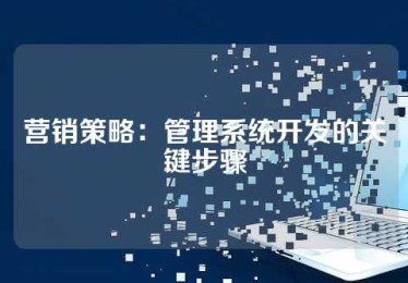 营销策略：管理系统开发的关键步骤