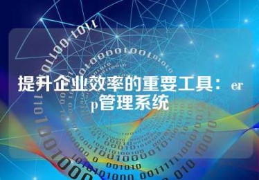提升企业效率的重要工具：erp管理系统
