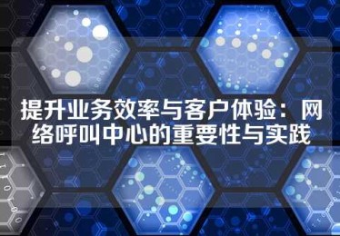 提升业务效率与客户体验：网络呼叫中心的重要性与实践