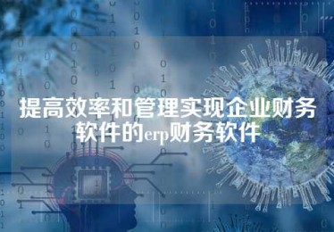 提高效率和管理实现企业财务软件的erp财务软件