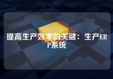 提高生产效率的关键：生产ERP系统