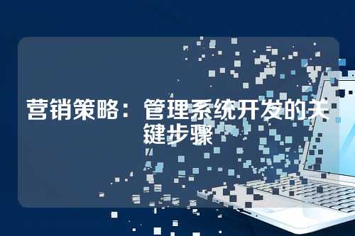 营销策略:管理系统开发的关键步骤