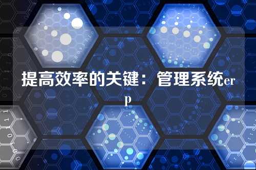 提高效率的关键：管理系统erp