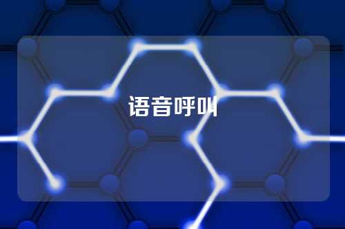 语音呼叫