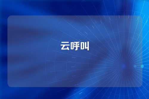 云呼叫